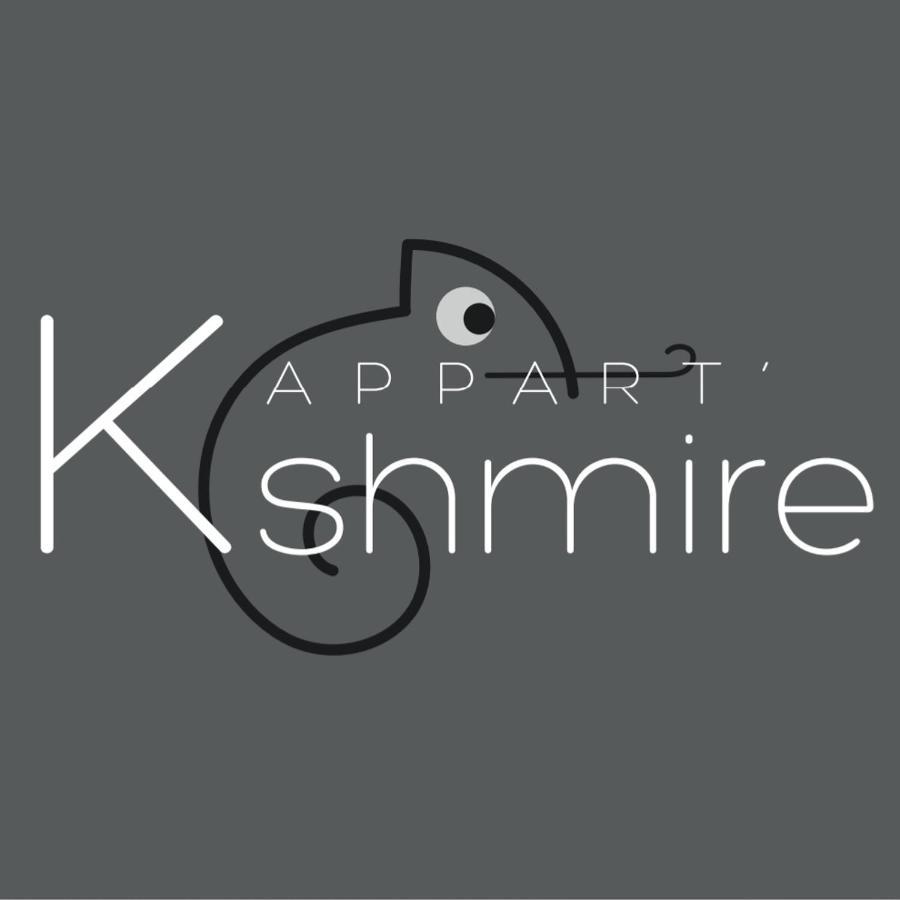 L'Appart K-Shmire- Cosy Et Spacieux, 4 Pers Le Mans Exteriér fotografie